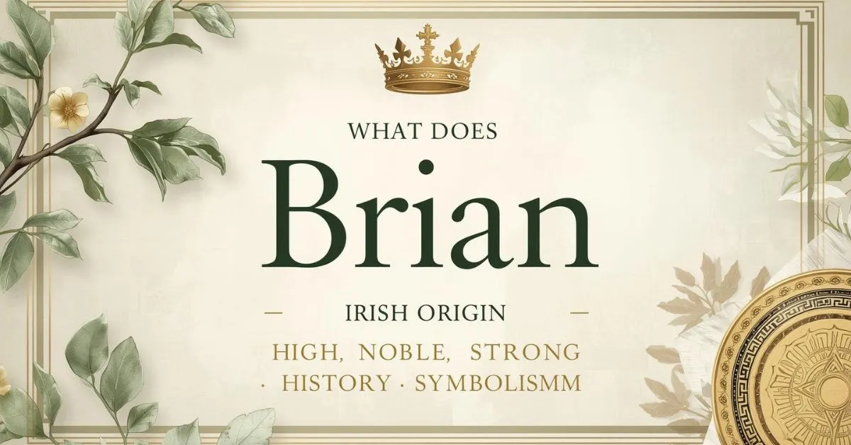 Brian name meaning