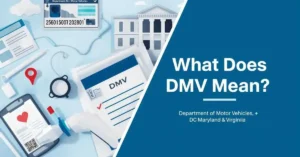 DMV meaning guide