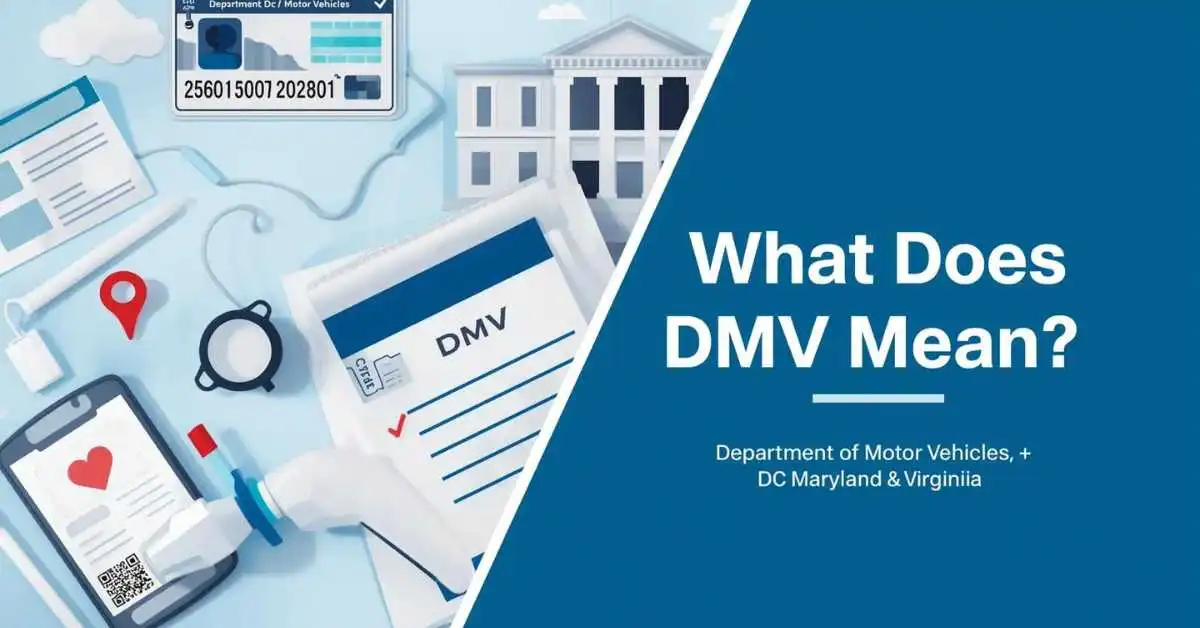 DMV meaning guide