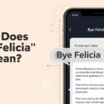 Bye Felicia meaning image