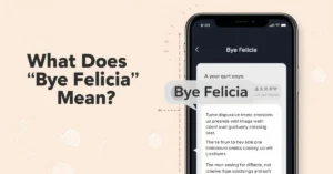 Bye Felicia meaning image