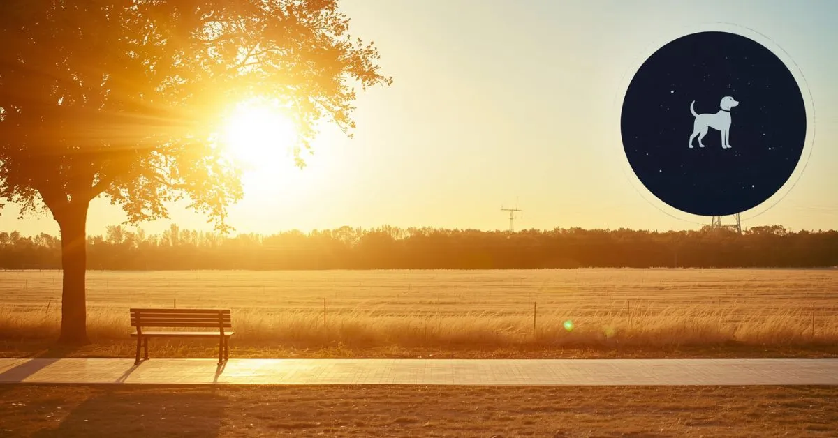 Dog days summer heat scene with Sirius