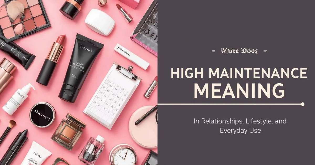 High maintenance meaning graphic