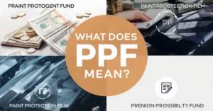 PPF meaning guide graphic