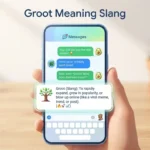 Groot Meaning Slang