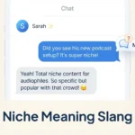 Niche Meaning Slang