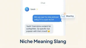 Niche Meaning Slang