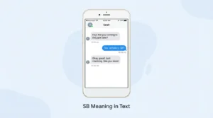 SB Meaning in Text